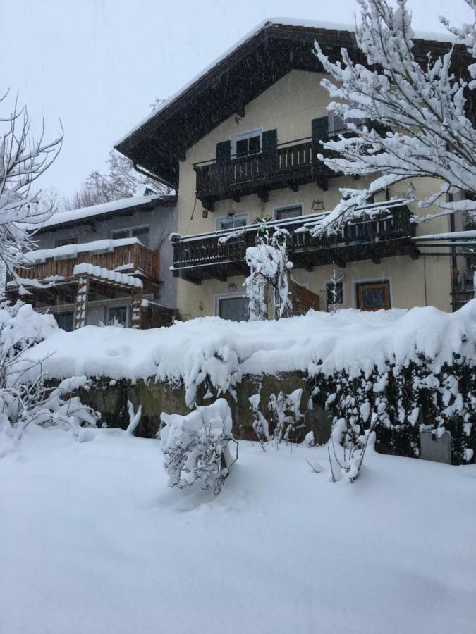 Apartment Langer